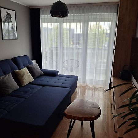 Komfortowy Apartament Dla 7 Osob Ch Arena, Prywatny Parking Gliwice Exterior foto